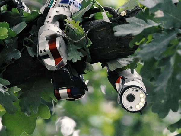 Južna Koreja: Evolucija kao inspiracija za vojne robote Južna Koreja: Evolucija kao inspiracija za vojne robote